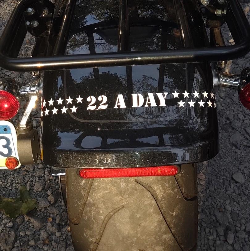 22 A Day Decal (12 inch)